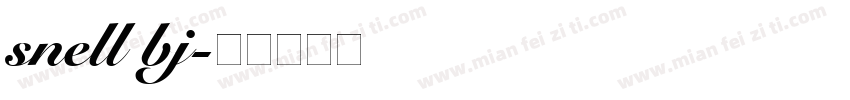 snell bj字体转换